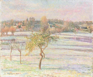 Weißer Frost in Eragny, 1895